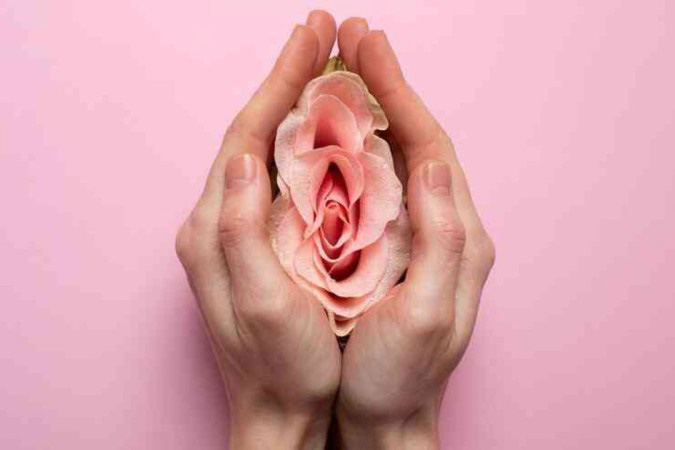 گل رز در میان دو دست به نشانه سلامت ناحیه تناسلی