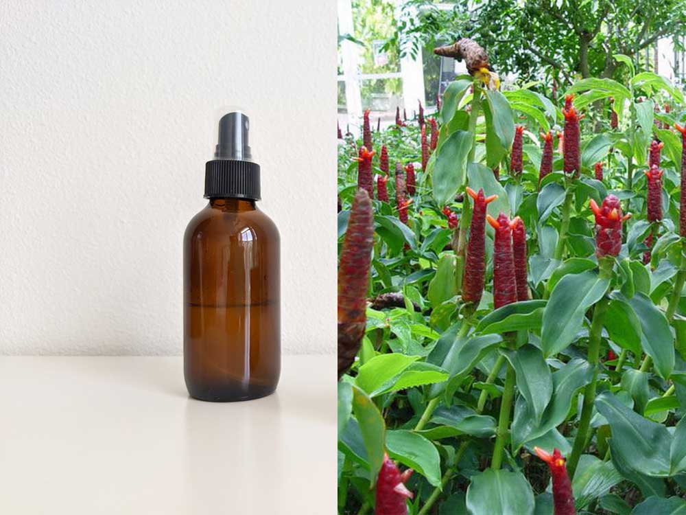  یک بطری روغن قسط برای سلامت دستگاه گوارش