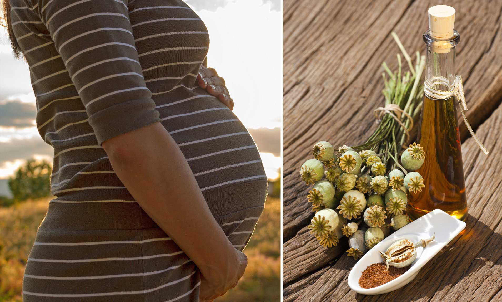 روغن خشخاش در سلامت راست و یک خانم باردار در سمت چپ تصویر