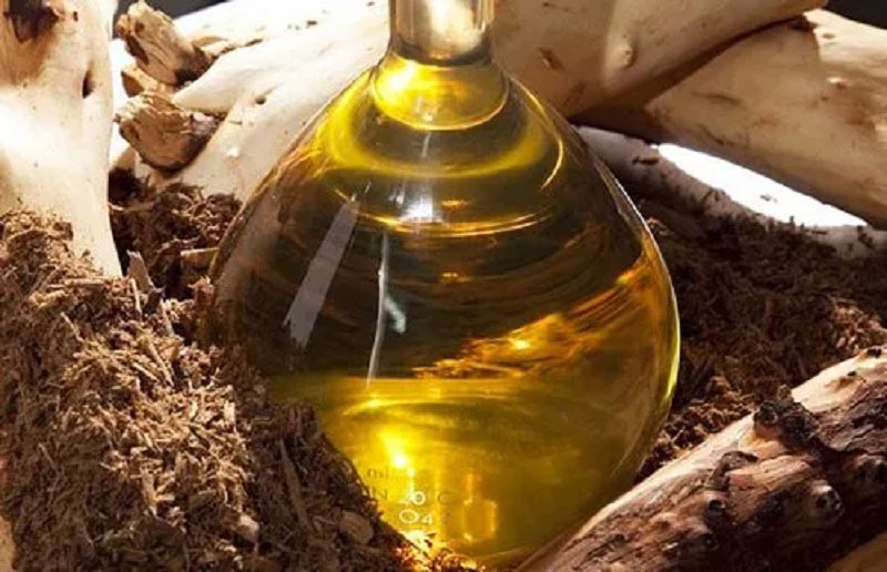 یک بطری روغن قسط در میان پودر ریشه قسط