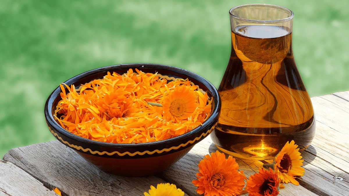  یک بطری روغن کالاندولا در کنار گل ها و گلبرگ های گل همیشه بهار